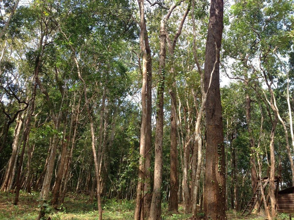 Mondulkiri Hotel Sen Monorom Ngoại thất bức ảnh